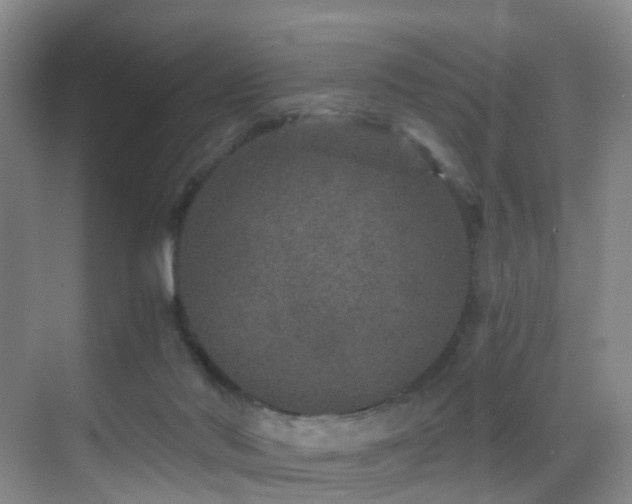 X0000069800022200605191116