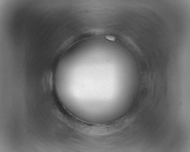 X0000069800024200605191116
