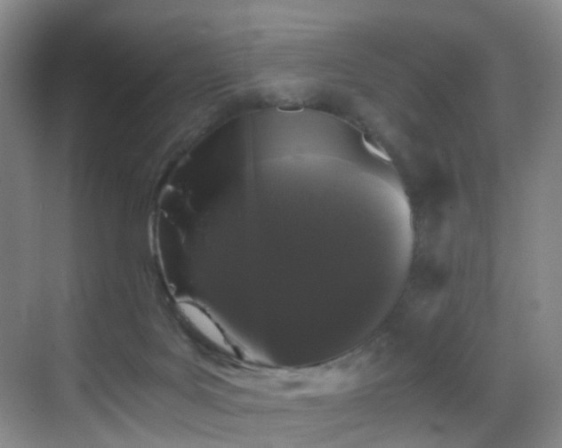 X0000069800027200605191116