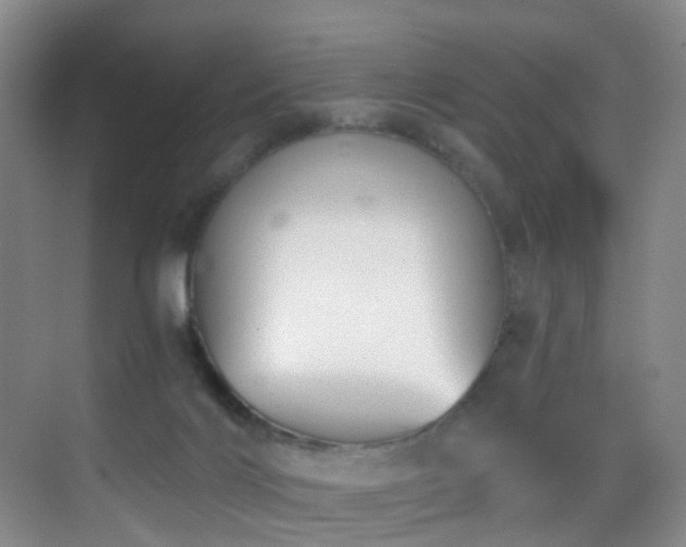 X0000069800028200605191116