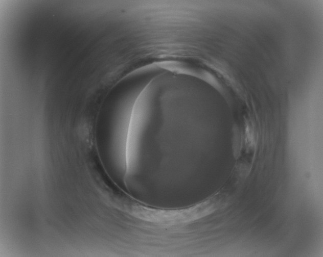 X0000069800031200605191116
