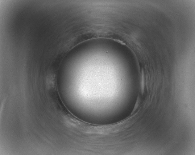 X0000069800033200605191116