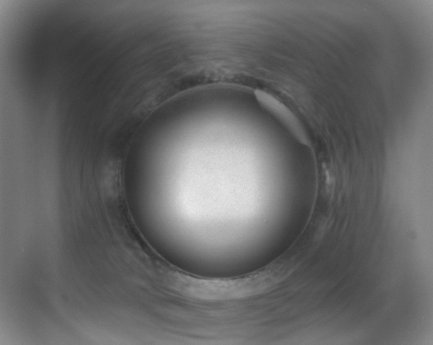 X0000069800034200605191116
