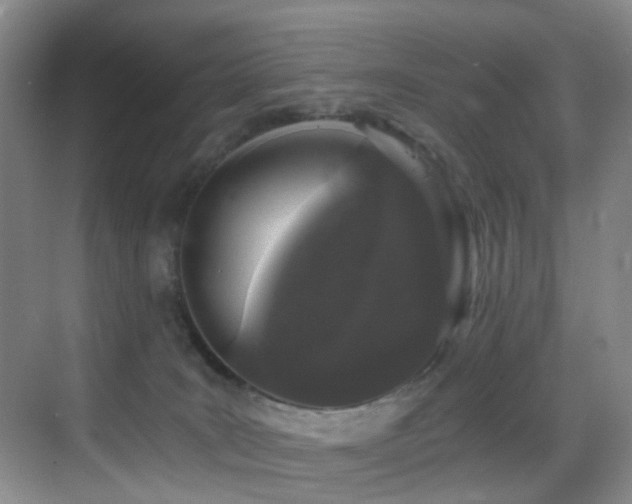 X0000069800035200605191116