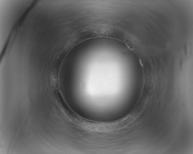 X0000069800040200605191116