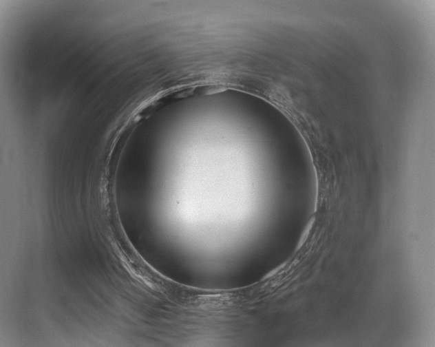 X0000069800050200605191115