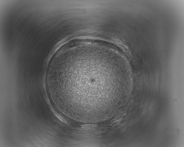 X0000069800051200605191115