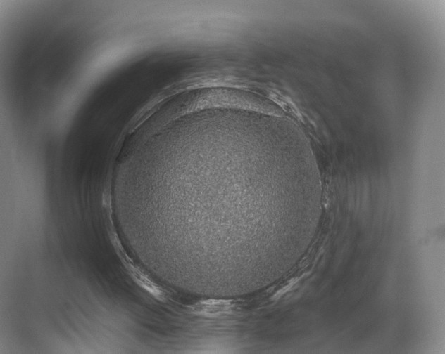 X0000069800052200605191115