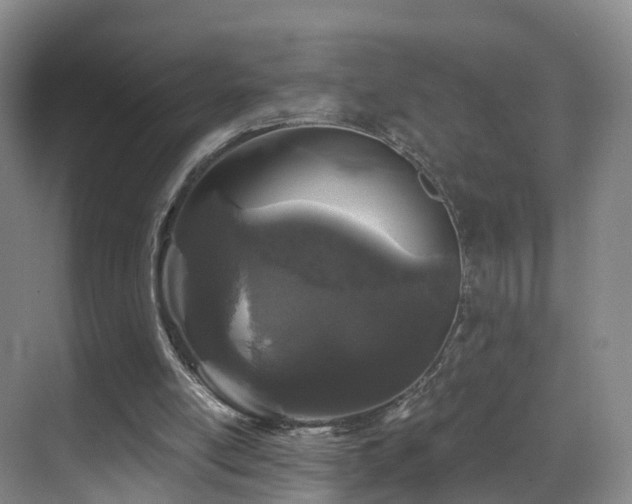 X0000069800054200605191115