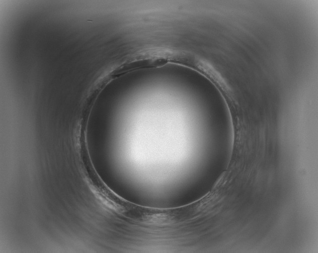 X0000069800058200605191115
