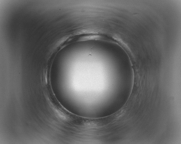 X0000069800062200605191115