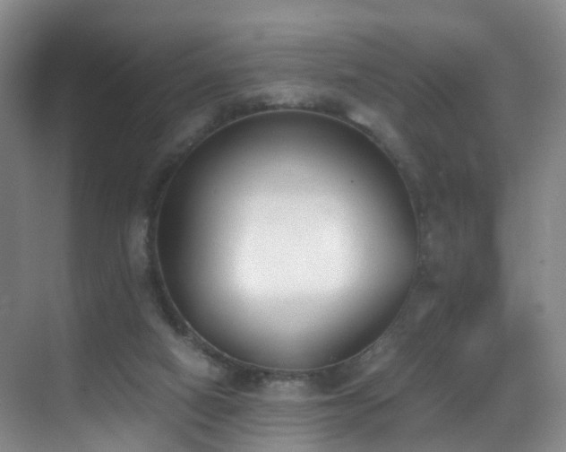 X0000069800066200605191115