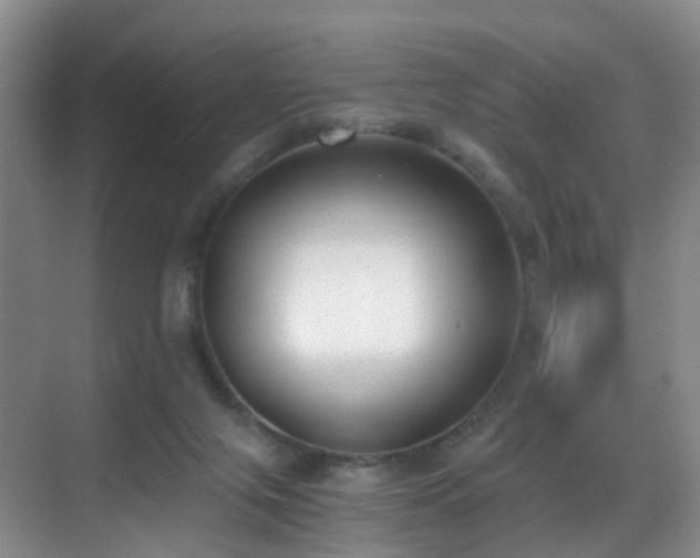 X0000069800071200605191115
