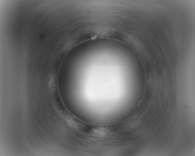 X0000069800079200605191115