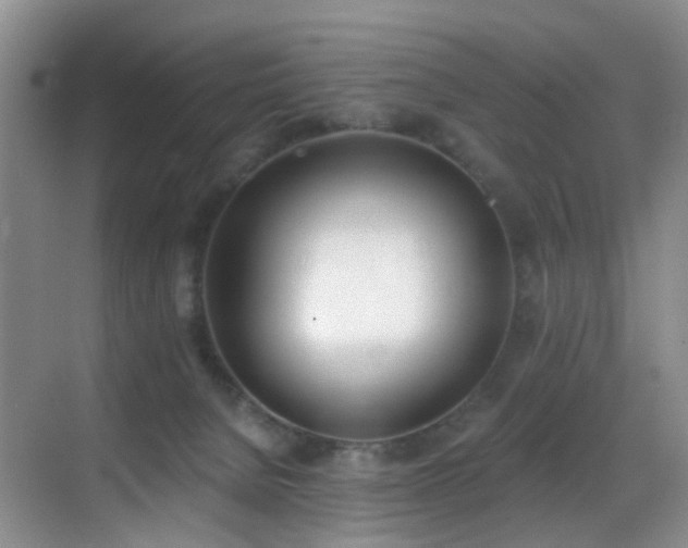 X0000069800080200605191115