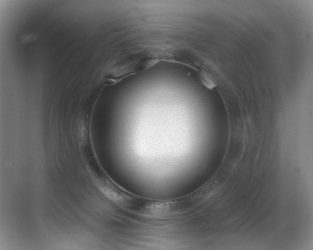 X0000069800084200605191115