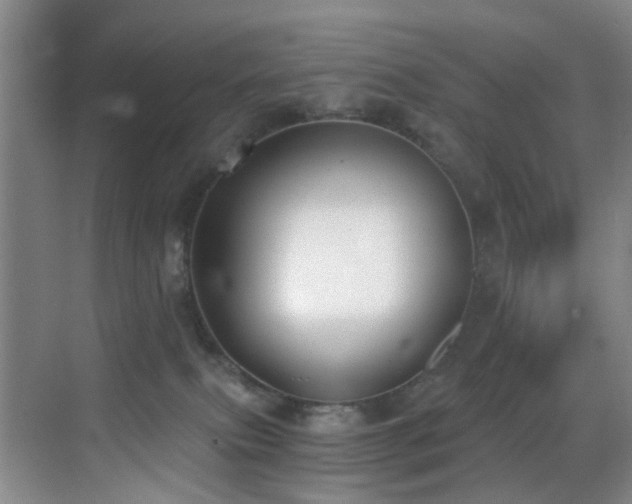 X0000069800087200605191116