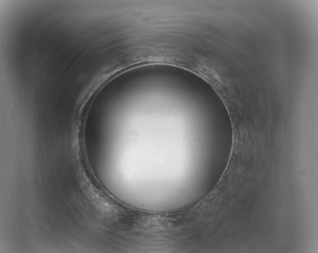 X0000069800098200605191115