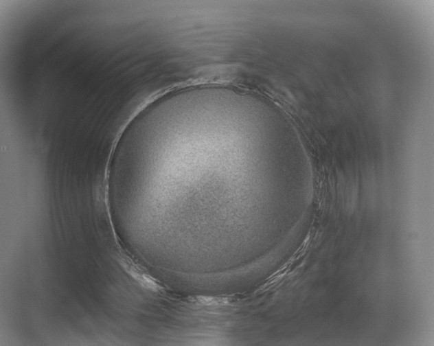 X0000069800100200605191115