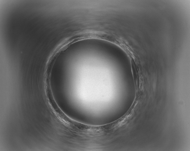 X0000069800101200605191115