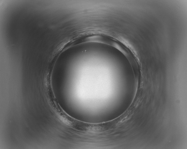 X0000069800105200605191115