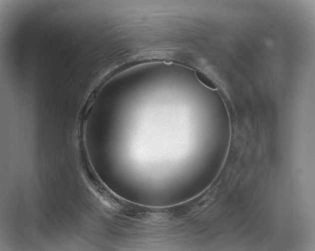X0000069800107200605191115