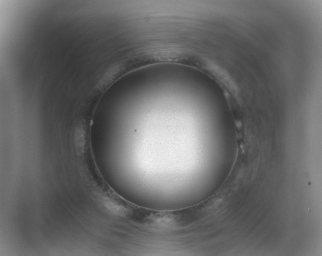 X0000069800113200605191115