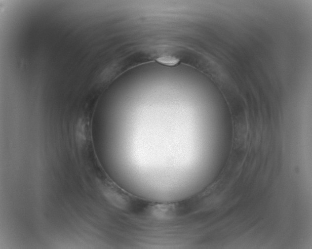 X0000069800126200605191114