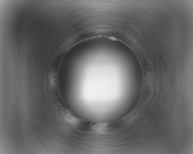 X0000069800138200605191114