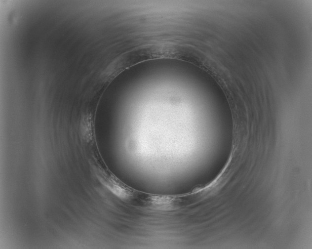 X0000069800144200605191114