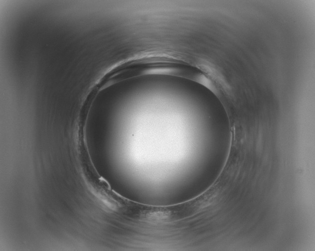X0000069800156200605191113