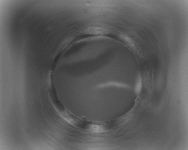 X0000069800167200605191114