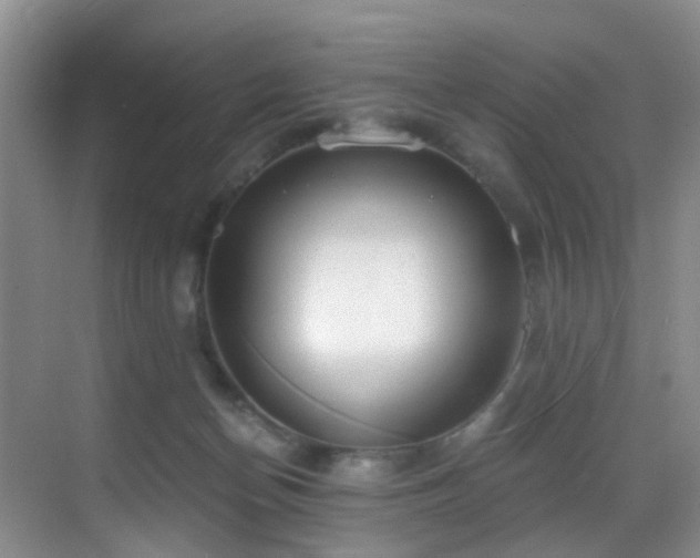 X0000069800174200605191114