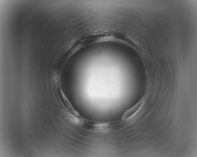 X0000069800192200605191114