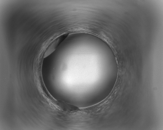 X0000069800193200605191113