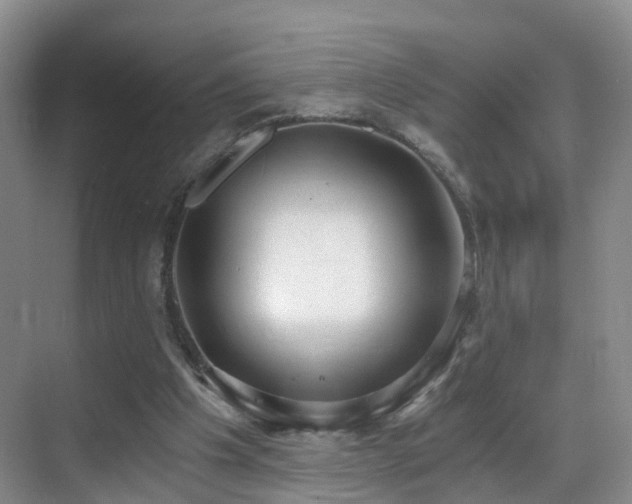 X0000069800201200605191113