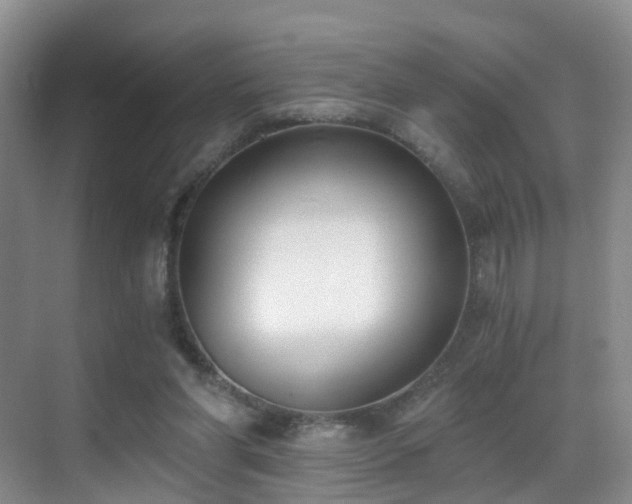 X0000069800206200605191113