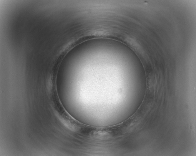 X0000069800208200605191113