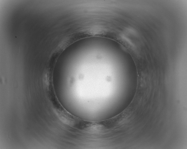 X0000069800210200605191113