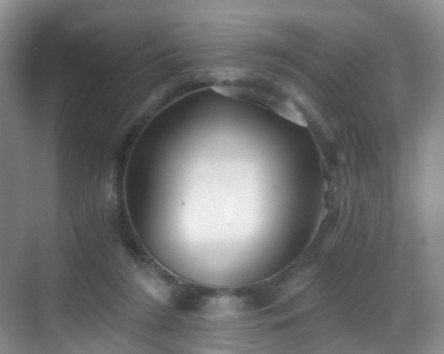 X0000069800212200605191113