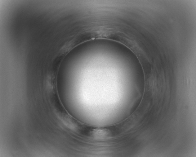 X0000069800218200605191113