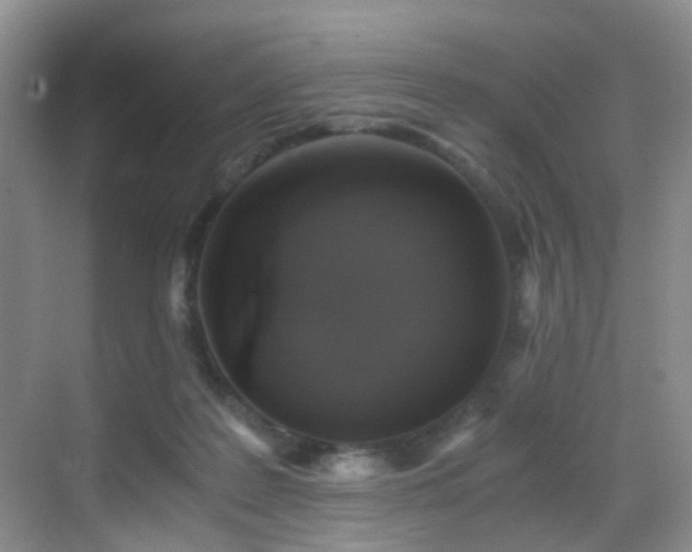 X0000069800219200605191113