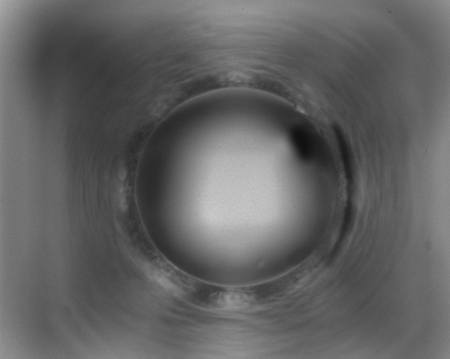 X0000069800223200605191113