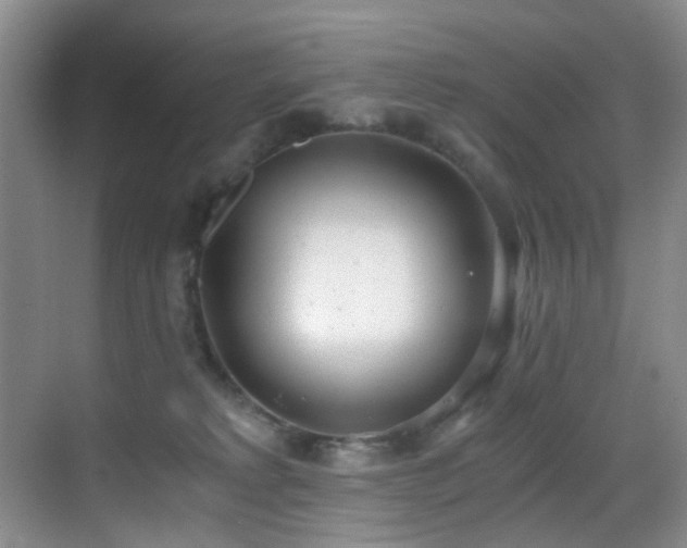 X0000069800229200605191113