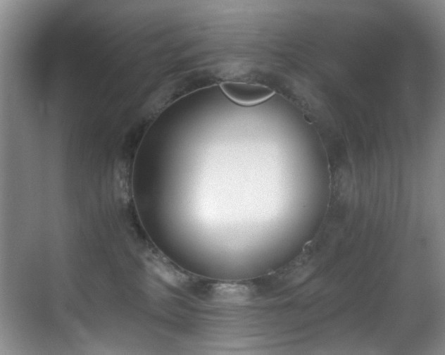 X0000069800234200605191113