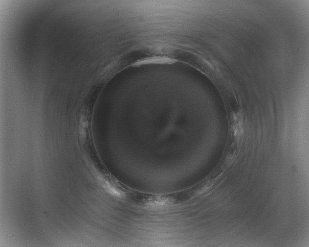 X0000069800235200605191112