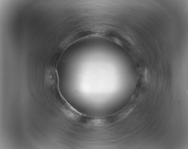 X0000069800237200605191112