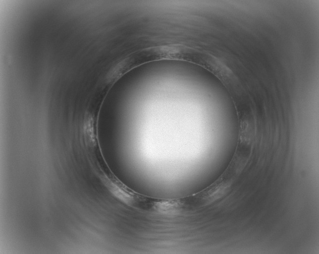 X0000069800238200605191112