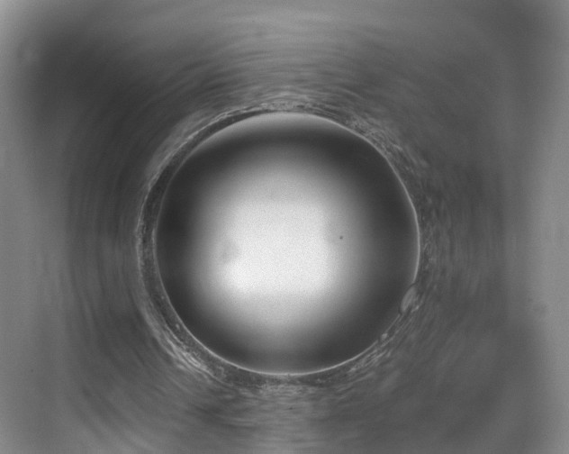 X0000069800242200605191112