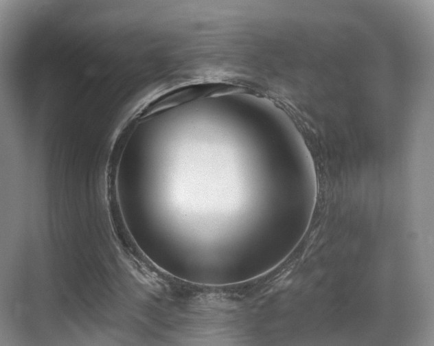 X0000069800244200605191112